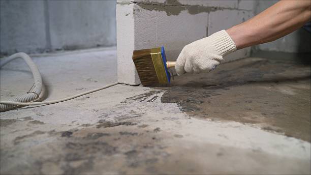SJ Waterproofing Pros Crawl Space Encapsulation coverage map for Branch, MI and surrounding area
